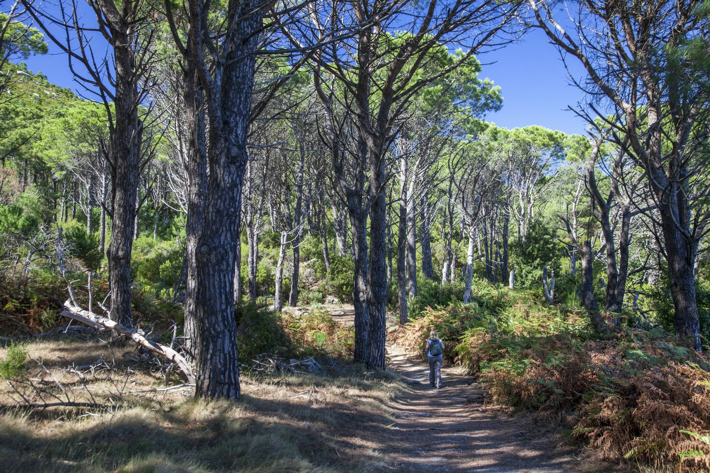 Elba Island nature trail